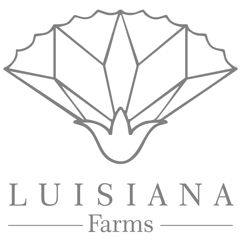 Logo de Luisiana